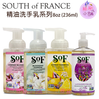 South of France 南法馬賽皂 精油洗手乳系列 8oz 泡沫洗手乳 慕斯洗手乳 彤彤小舖