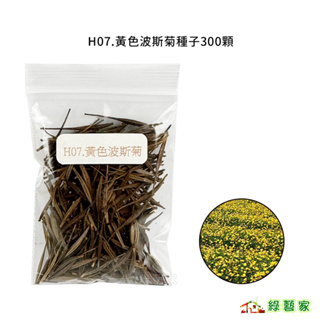 【綠藝家】H07.黃色波斯菊種子300顆(美化綠化環境作物 )花卉 花類種子 波斯菊