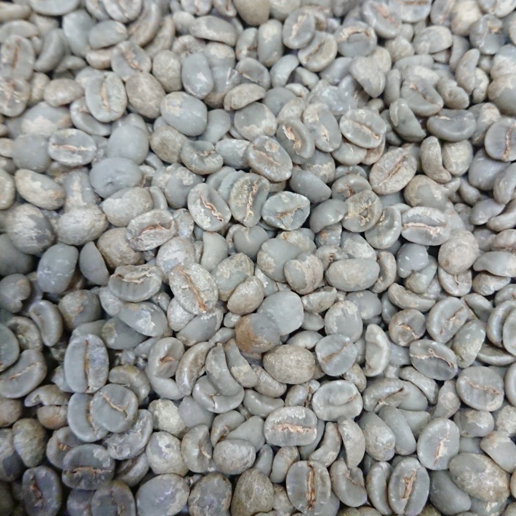 巴西 達特拉莊園 甜蜜總匯 半水洗咖啡生豆 單一品種紅色卡杜艾咖啡生豆 1KG (未烘焙)