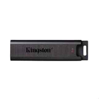 (聊聊享優惠) Kingston 1TB USB3.2 Gen 2 DataTraveler Max (台灣本島免運費)