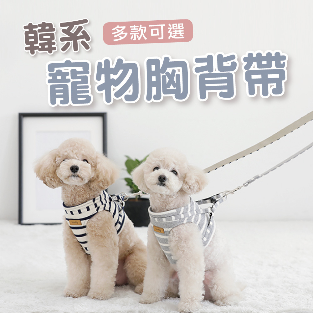 [蝦皮團購] 韓系寵物胸背帶 附牽繩 透氣舒適 2款可選 韓國WOOLLY