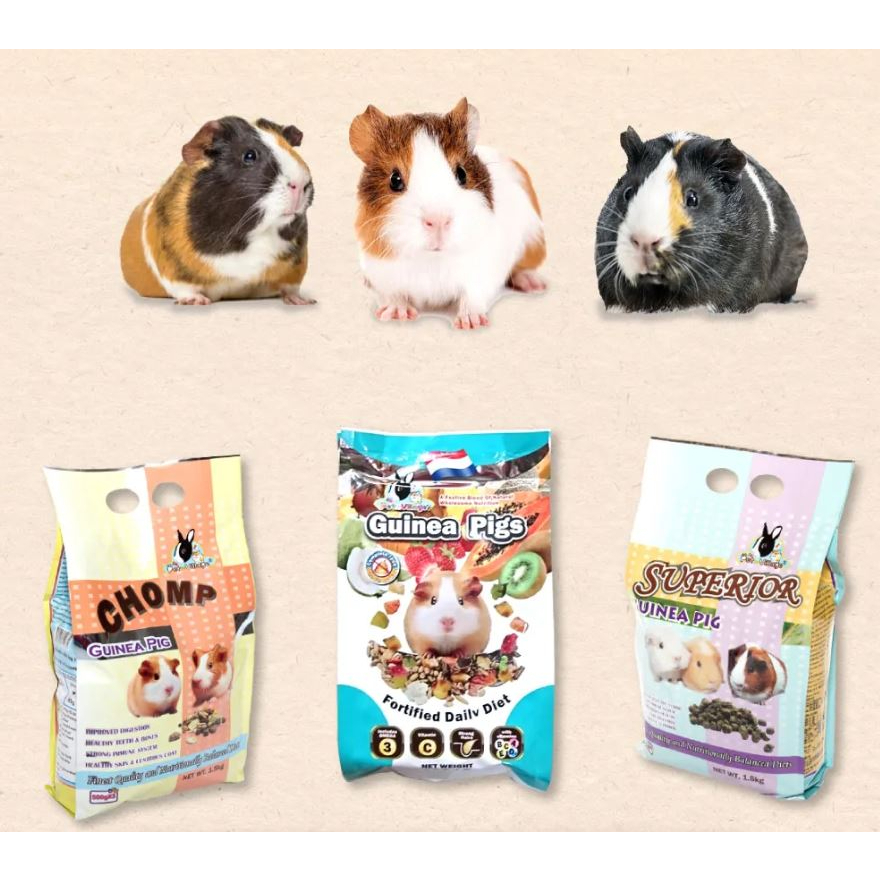 #白金的店# Pet Village 🐹魔法村 天竺鼠 主食大集合  機能食  飼料/天竺鼠