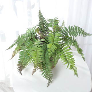 模擬蕨類🌿藤蔓 植物 蕨類植物 盆栽 綠色植物 蕨類藤蔓 模擬蕨葉