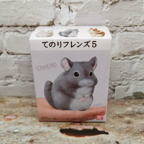 日本 BANDAI 正版盒玩 小鳥 掌上好朋友 5 第五彈 單售 05 龍貓 全新未拆 倉鼠 兔子 刺蝟