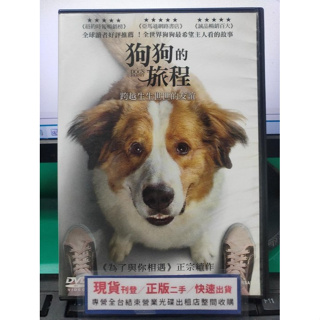 影音大批發-Y21-945-正版DVD-電影【狗狗的旅程】-丹尼斯奎德 瑪格海根柏格(直購價)