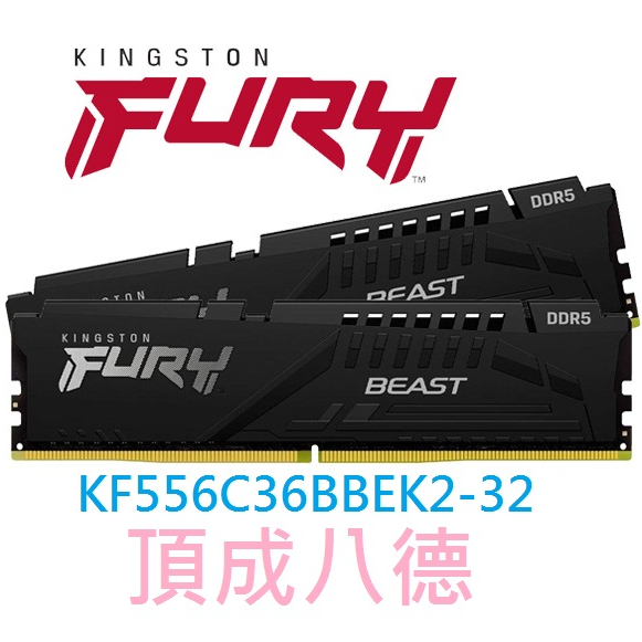 金士頓FURY Beast獸獵者 DDR5 5600 32GB(16GBx2) 記憶體 KF556C36BBEK2-32