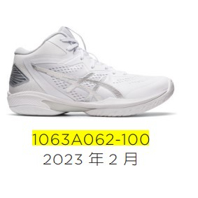 {大學城體育用品社} ASICS GELHOOP V15  籃球鞋 1063A062-100 白