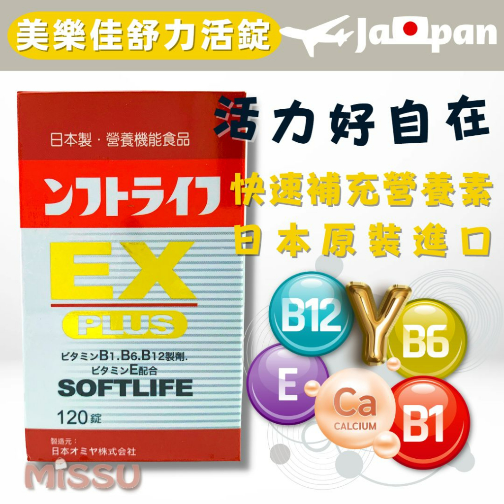 日本 活力B群 EX PLUS加強錠(120錠) 維生素B群 小顆好吞 方便快速 日本原裝 missU