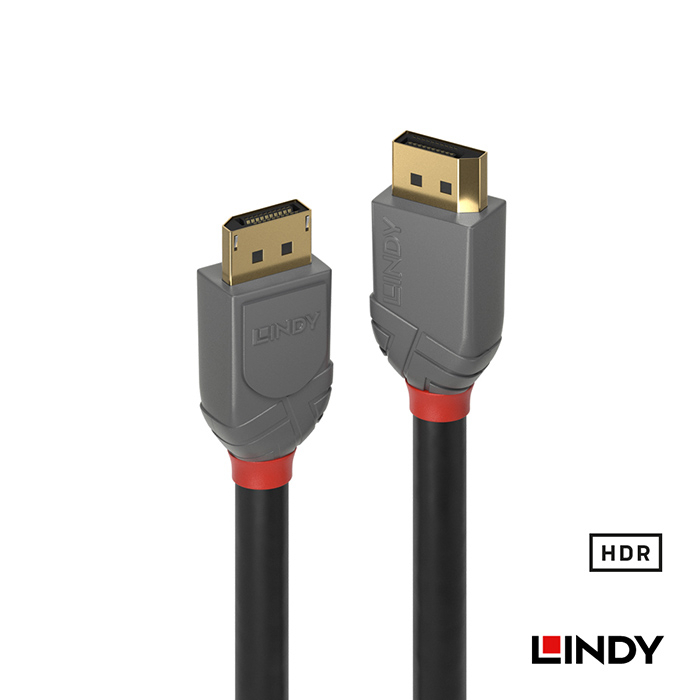 LINDY 林帝 ANTHRA DisplayPort 1.2版 公 to 公 傳輸線 10m (36486)