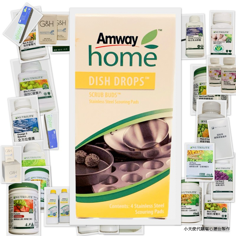 安麗 Amway Home 金鋼刷 家庭清潔