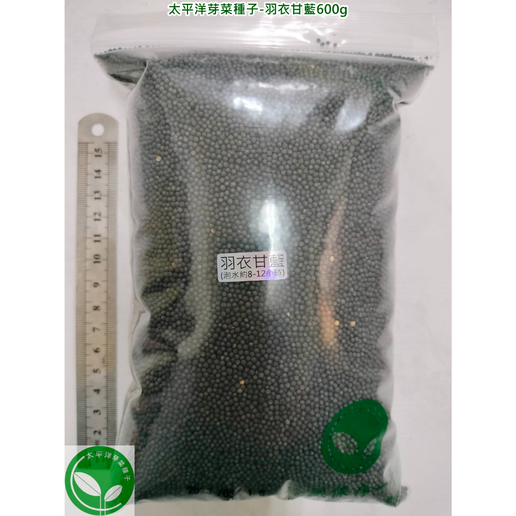 羽衣甘藍菜種子600g-美國-約210000顆-可水耕/土耕-85%以上高發芽率-芽菜種子/生菜種子/芽苗菜種子