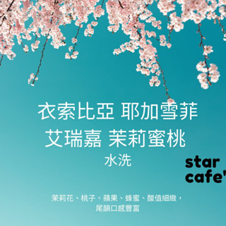 †星星咖啡†衣索比亞 耶加雪菲 艾瑞嘉 茉莉蜜桃 水洗