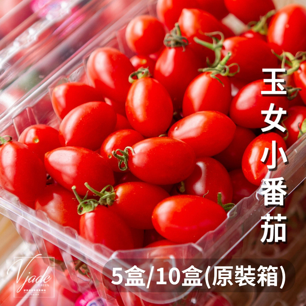 玉女番茄Jade girl tomato 台灣 5盒 10盒 口感圓潤 番茄汁 鮮果綠 快速出貨 品質保證