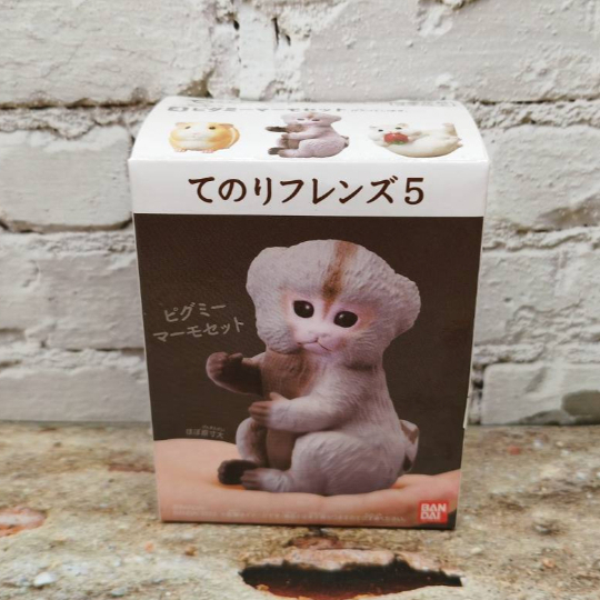 日本 BANDAI 正版盒玩 小鳥 掌上好朋友 5 第五彈 單售 04 猴子 全新未拆 倉鼠 兔子 刺蝟