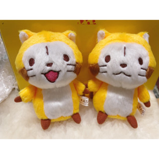 拉斯卡爾。Rascal。小浣熊/浣熊/吊飾娃娃/日本限定
