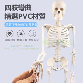 人體骨骼模型45 85CM骨架模型 人體脊柱模型脊椎模型醫學骨骼骷髏【美品LDYX】