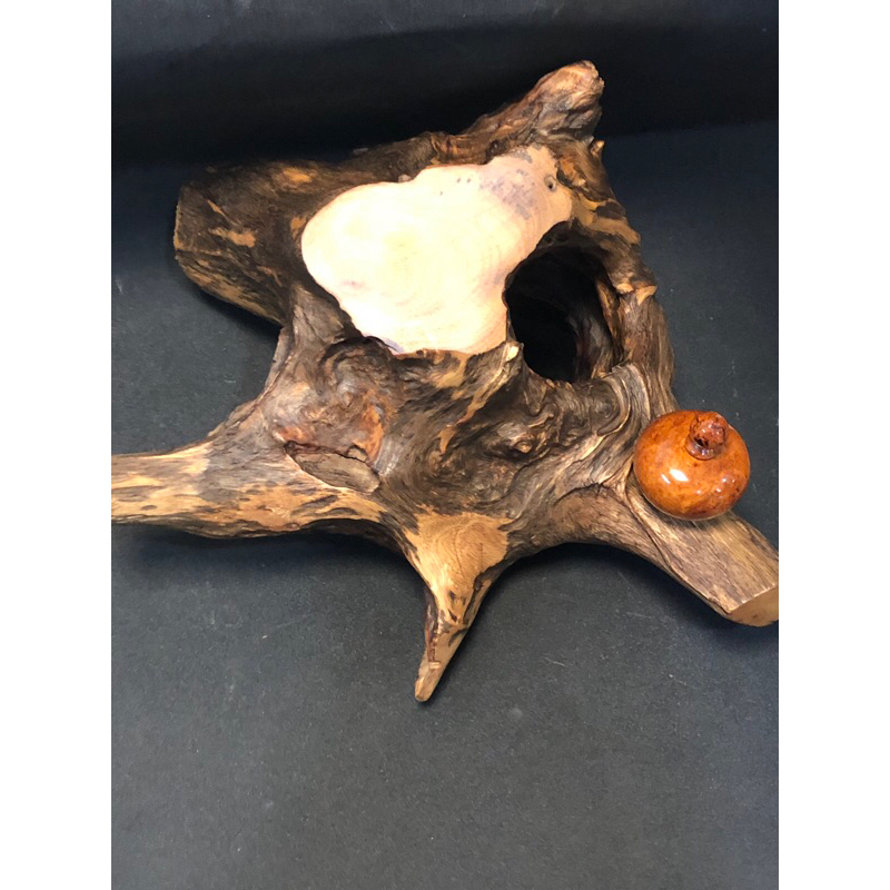 台灣牛樟倒閣根瘤料 天然藝百分百 濃郁香氣沙士味 紅肉牛樟 瘤體極美 天然擺件 檯座 自由發揮創作皆適宜
