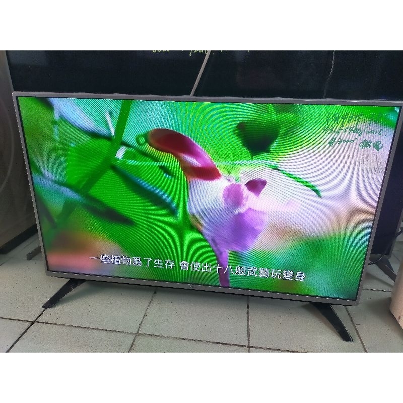 LG 43吋 FHD 高畫質液晶電視（43LF5400）