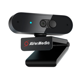 圓剛 1080p 高畫質 自動 變焦 網路攝影機 PW310P / 臺灣公司貨【電玩國度】
