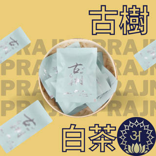 【快速出貨 空運進口買10粒送1粒 千年古樹白茶現貨】普洱茶 茶葉 茶餅 白茶 普洱 小沱 雲南勐海普洱茶高山茶 深藏般