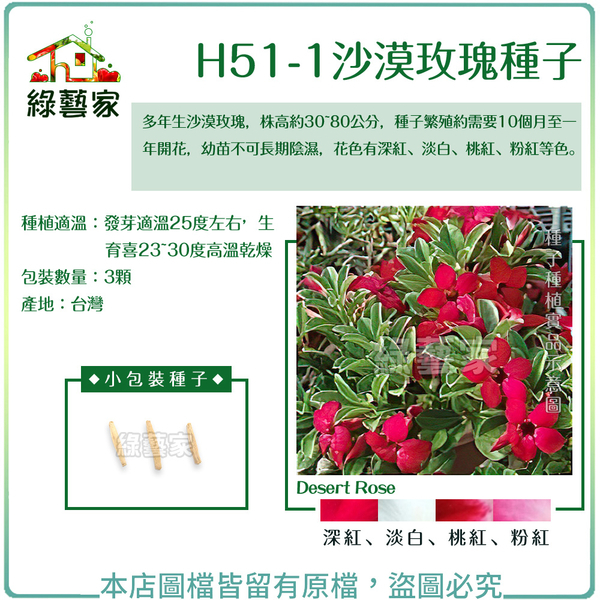 【綠藝家】H51-1.沙漠玫瑰種子3顆//像樹又像花的多年生沙漠玫瑰，懶人最夯植物，花期長，一年能開多次花。