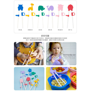 Marcus Marcus 動物樂園幼兒學習筷 兒童學習筷 可拆式學習筷 雙手通用