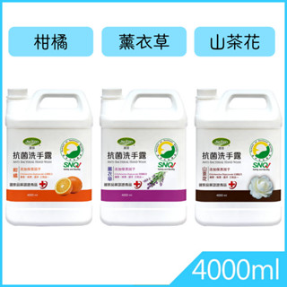 潔芬 抗菌洗手乳4000ml補充桶｜柑橘 山茶花 薰衣草｜✅SNQ認證商品 SGS合格｜台灣製造 抗菌洗手露