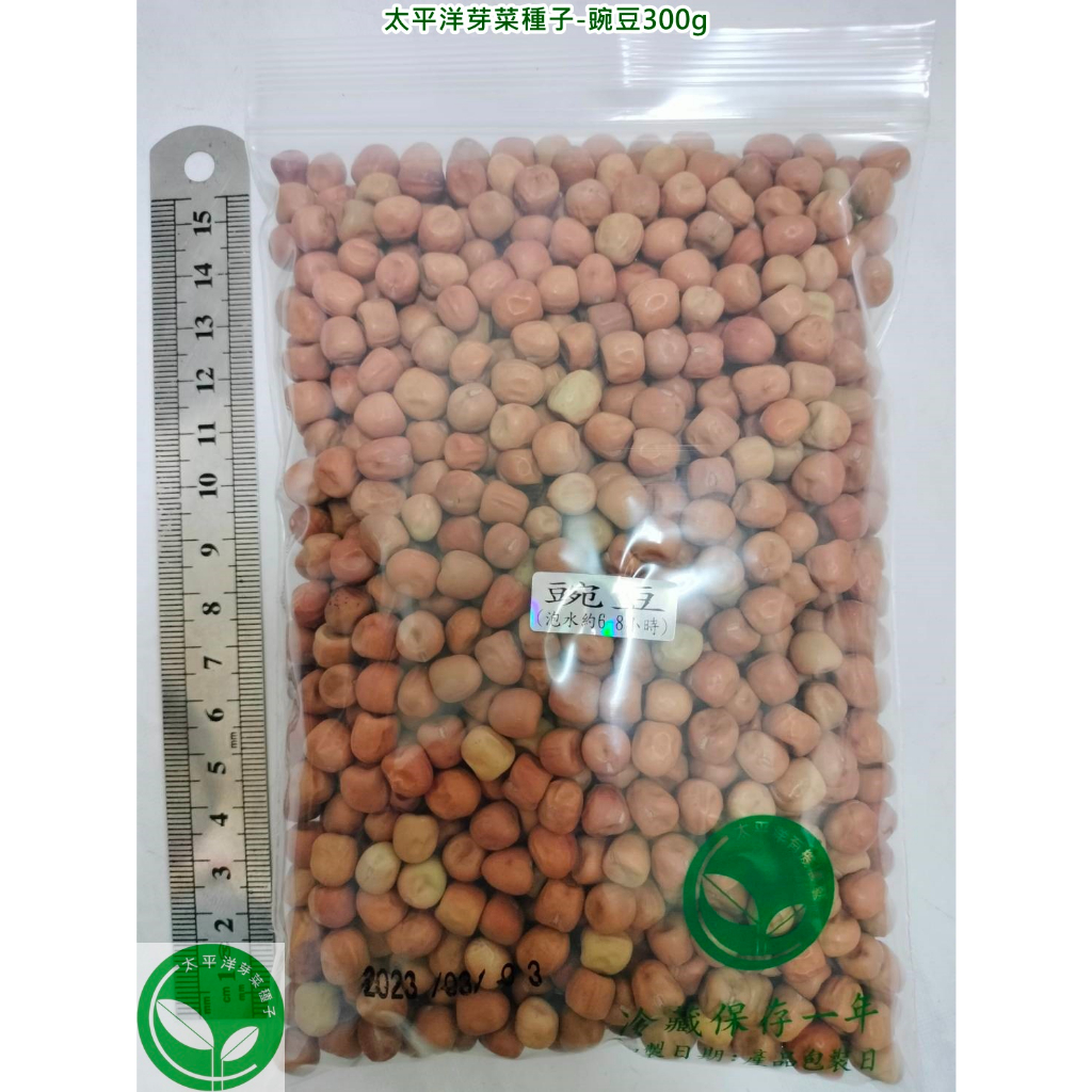 豌豆種子/荷蘭豆300g-澳洲-約1140顆-可水耕/土耕/煮食-85%以上高發芽率-芽菜種子/綠拿鐵生菜種子/土耕種子