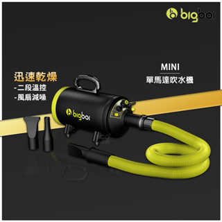 【全新商品現貨】bigboi MINI 寵物單馬達吹水機 吹風機 乾燥吹風機 寵物美容 吹毛 寵物吹水 單馬達吹風機