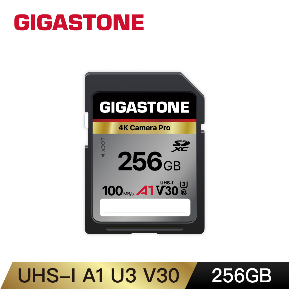 Gigastone 256gb的價格推薦- 2023年8月| 比價比個夠BigGo