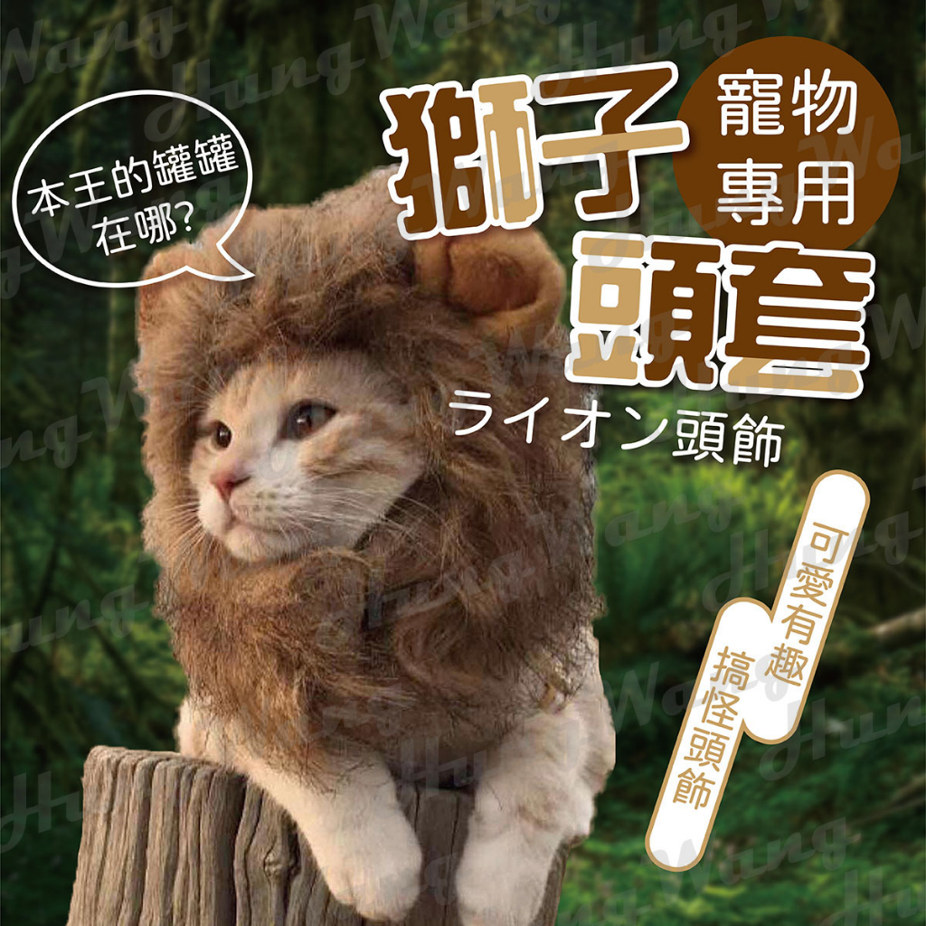 貓咪獅子頭套 獅子 寵物頭套 寵物帽 保暖頭套 假髮 貓狗 變裝 搞怪 頭飾