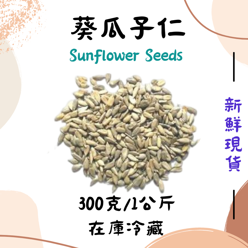生葵瓜子 300g / 1kg 葵花子仁  sun flower seeds 向日葵子 批發
