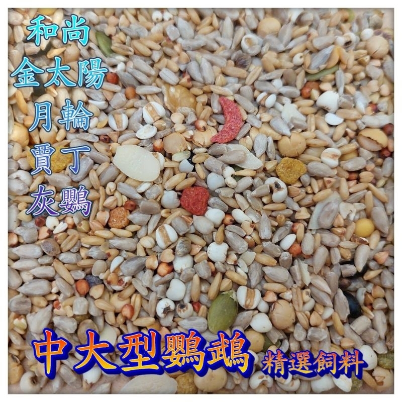 ☆小寵當家☆ 中大型鸚鵡 無殼飼料 經濟日糧 鳥飼料 鸚鵡飼料 和尚飼料 金太陽飼料 小太陽飼料 賽內 賈丁 折衷 灰鸚