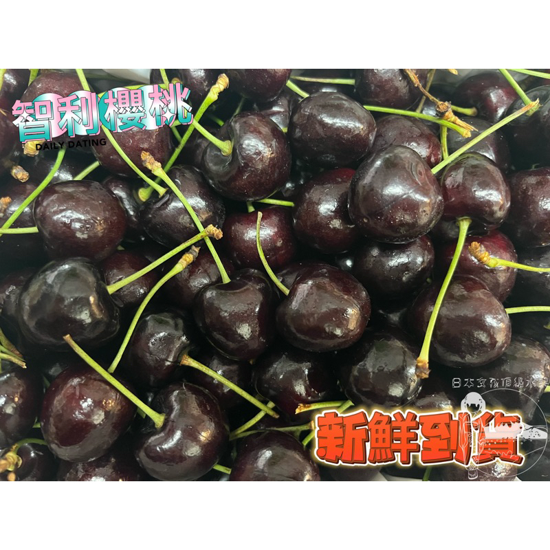 智利🇨🇱海運櫻桃🍒原封箱5公斤 大箱櫻桃 海運櫻桃 櫻桃年節禮盒