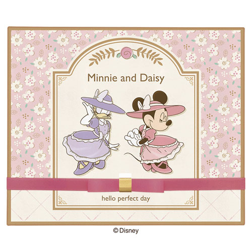 【現貨在台】🇯🇵 日本製 迪士尼 白色情人節限定 Disney Minnie and Daisy 米妮 巧克力餅乾禮盒