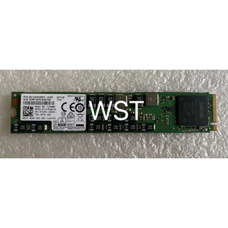 Samsung SSD 960GB MZ1LW960HMJP 22110 PCIe3.0 x4 企業級