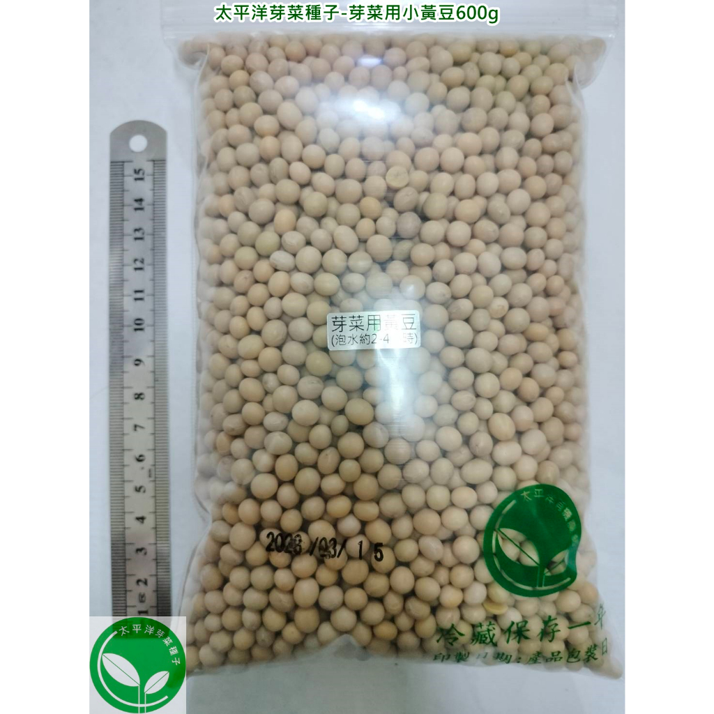 小黃豆種子600g-芽菜用/納豆用/煮食均可-美國-約4200顆-可水耕/土耕-85%以上高發芽率-芽菜種子/豆芽菜種子