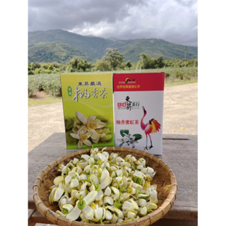 東昇茶行總店x柚香綠茶/柚香紅茶x季節限定