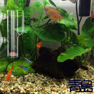 【新莊/五股/青島水族】玻璃工房 超白玻璃孵化器 超厚版 水晶蝦卵孵化器 營造抱蛋蝦卵孵化環境