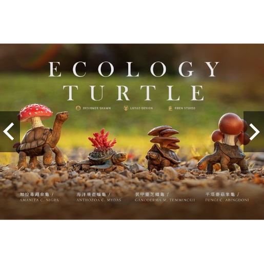 生態烏龜 傘龜 象龜 蠵龜 鱷龜 香菇 珊瑚 靈芝 蘑菇 扭蛋 轉蛋