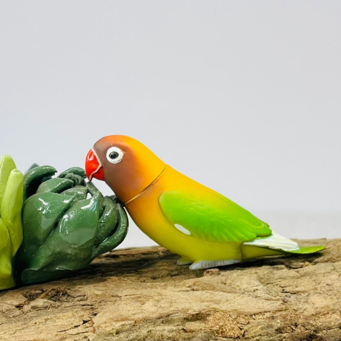 牡丹小鳥【自作品】 牡丹鸚鵡模型的價格推薦- 2025年9月| 比價比個夠BigGo