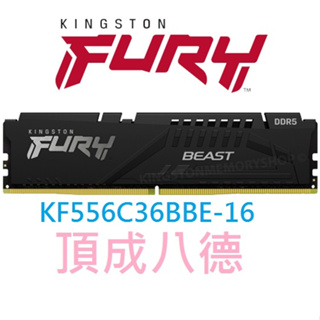 金士頓 Kingston FURY Beast獸獵者DDR5 5600 16GB桌上型記憶體KF556C36BBE-16