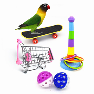 鸚鵡益智玩具/寵物益智玩具/鸚鵡啃咬玩具/寵物益智/小鸚鵡玩具/