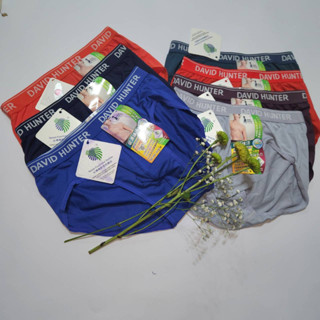 全新大衛獵人DAVID HUNTER貨號:686男用三角吸濕排汗內褲臺灣製