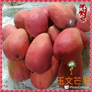 {玉文芒果} 肉厚仔薄,大塊朶頤、味美甜度超好