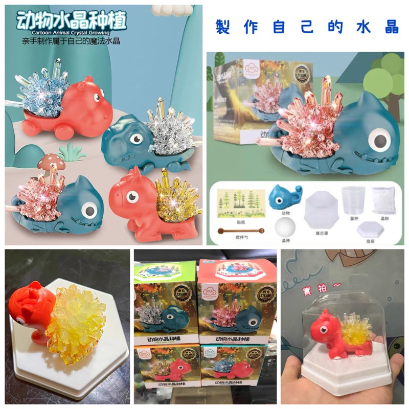 現貨-開發票-科學 DIY 化學實驗原理 動物水晶種植 成型 STEAM 科學 教具 玩具 安全無毒 自然科學