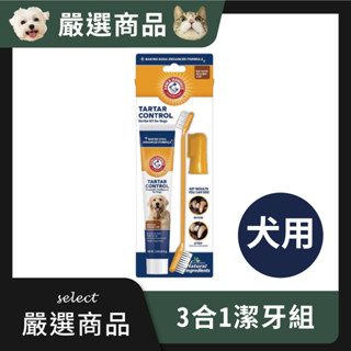 【ARM & HAMMER™】3合1潔牙套組（除垢）｜嚴選商品