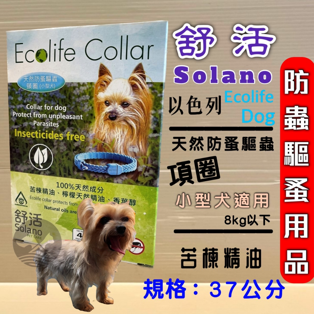 ✪妤珈寵物店✪以色列 Solano 舒活 天然防蚤驅蟲頸圈 小型犬 8kg以下的狗 項圈長37公分 天然防蚤 驅蚤