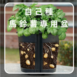 與山無境｜馬鈴薯種植盆／馬鈴薯專用盆 花生種植盆 地瓜種植盆 山藥種植盆 生薑種植盆 花盆 種植盆 種植袋