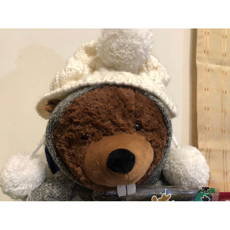二手✨日韓護耳毛帽 森林系羊毛保暖 女毛線帽 針織帽 毛帽